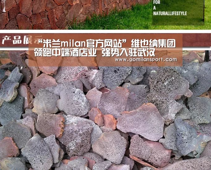 “米兰milan官方网站”维也纳集团领跑中端酒店业 强势入驻武汉(图1) 米兰·官方网站