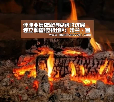 佳兆业复牌取得突破性进展 独立调查结果出炉:米兰·官方网站(图3) 米兰milan官方网站