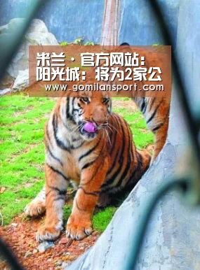 米兰milan官方网站